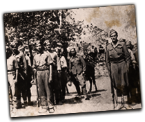 GFX_report_event_gre_rural_rebels